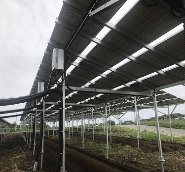 sistem de montare a fermei solare, Japonia